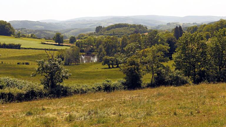 Planète (France/Europe) - Avis aux agriculteurs de Bourgogne: 100 arbres isolés à planter dans les prairies du Morvan
