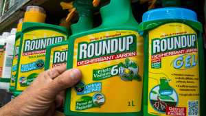 Planète (Etats-Unis/Amérique du Nord) - Cancer d'un enfant exposé au Roundup: nouveau procès contre Bayer à Los Angeles