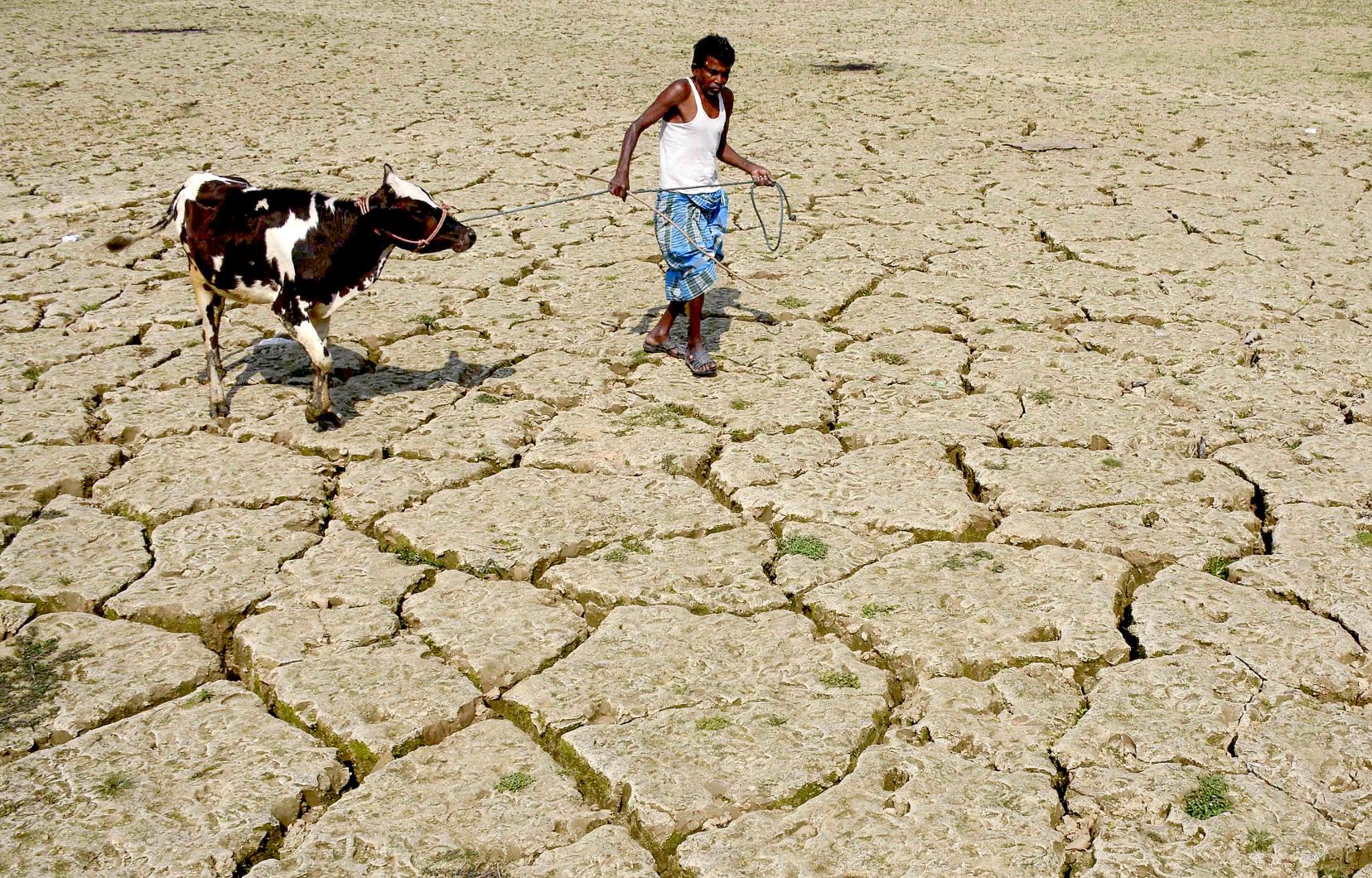 Planète - Plus de 200 millions de réfugiés climatiques d’ici 2050
