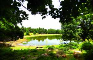 LE «TOURISME DOMESTIQUE» L’EXPOSE AUX DÉGRADATIONS Le lac noir est victime de sa popularité