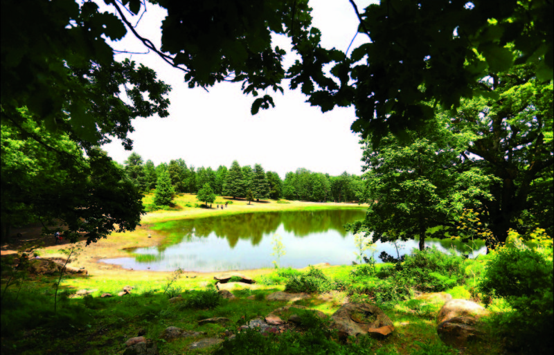LE «TOURISME DOMESTIQUE» L’EXPOSE AUX DÉGRADATIONS Le lac noir est victime de sa popularité