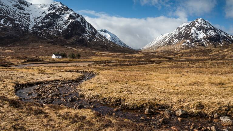 Planète (Europe) - Ecosse: lumière sur un gigantesque projet de réensauvagement des Highlands