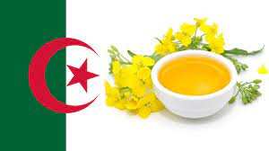 Algérie - Cap sur le développement de cette culture oléagineuse: Un objectif de 30.000 hectares de colza pour cette année