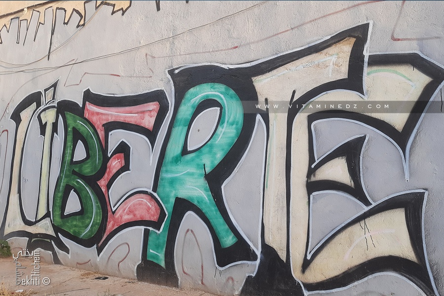 Les sujets sociaux dans les médias en Algérie. Pour une sociomédiatique professionnelle