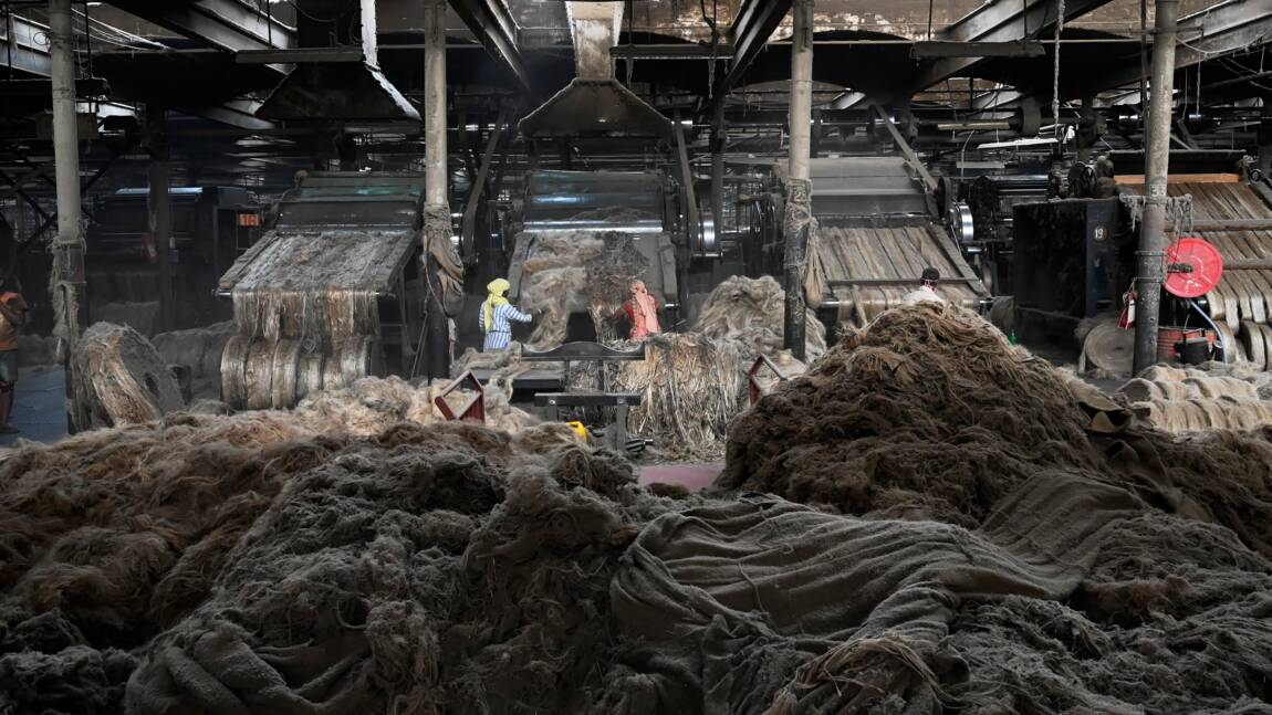 Planète (Asie) - Inde: l'industrie du jute veut croire en son nouvel essor, comme alternative au plastique