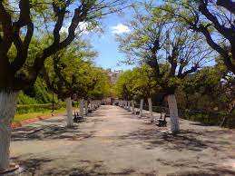 Oran - En perspective des JM 2022: Lancement prochain des travaux de réhabilitation du jardin Ibn Badis