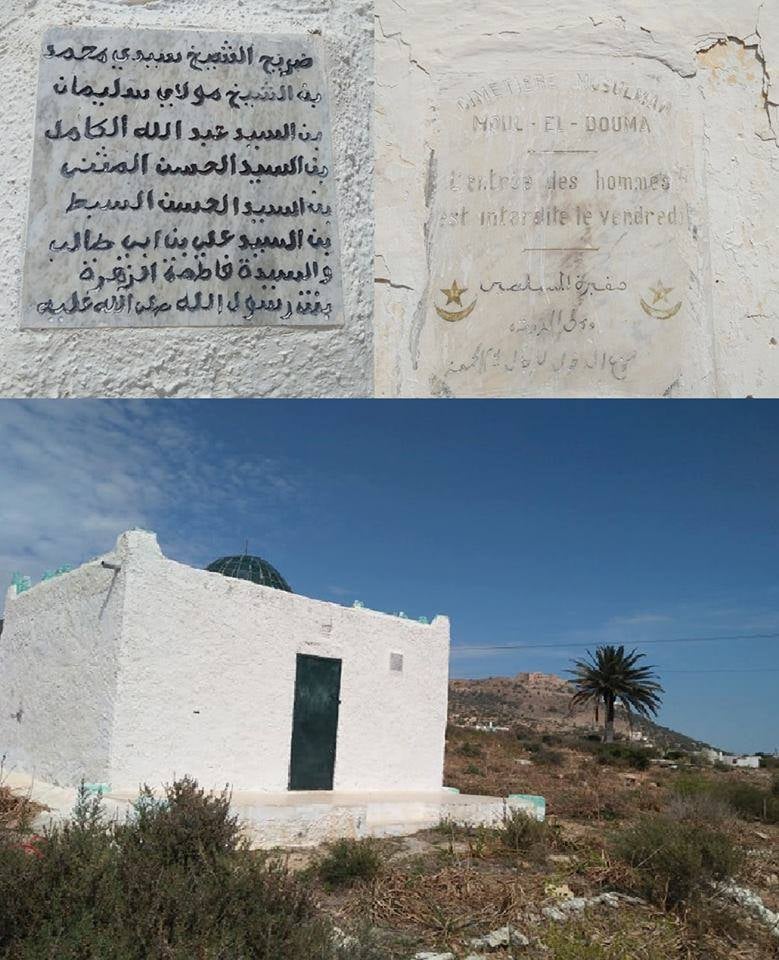 #مملكة_محمد_بن_سليمان أشراف الجزائر جملتهم 21 ملكا .. 173-342هـ / 789-954م .