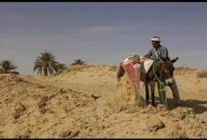 9700 غوط المتواجدة بوادي سوف