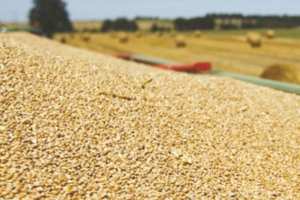 Algérie - L’état veut réorganiser le foncier agricole: 650.000 hectares de terres inexploitées seront réattribués