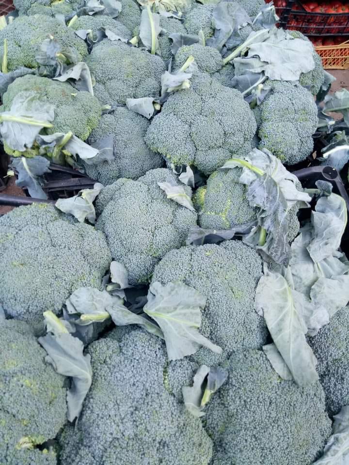 #الخضروات_الخارقة super food