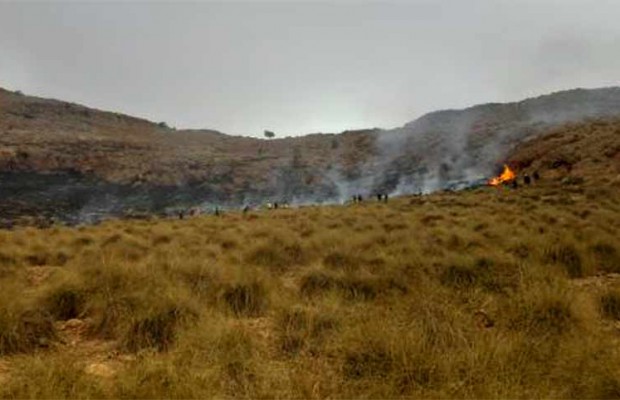 Algérie (Tébessa) - La nappe alfatière menacée de disparition