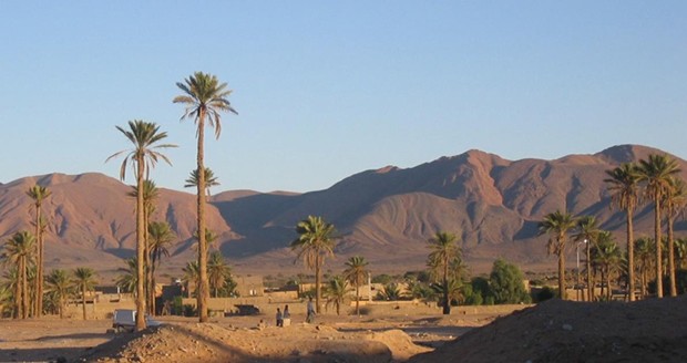 BÉCHAR - Un projet d’aménagement et d’amélioration urbaine et forestier