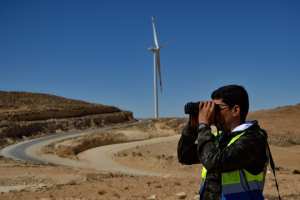Planète (Asie) - En Jordanie, les éoliennes s’arrêtent pour laisser passer les oiseaux