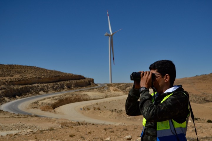 Planète (Asie) - En Jordanie, les éoliennes s’arrêtent pour laisser passer les oiseaux