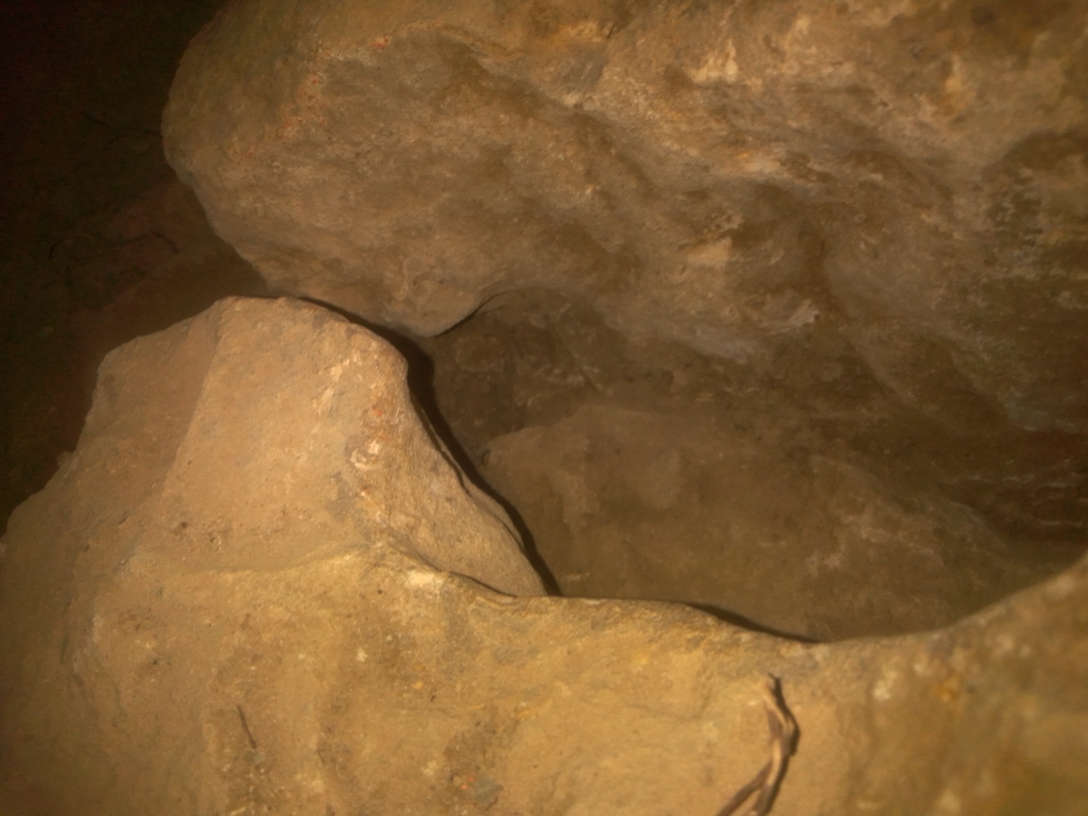 العصابة في طريق النمو