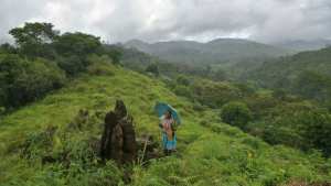 Planète (Asie) - Inde:  un camp de réfugiés  pour les espèces menacées de la chaine montagneuse des Western Ghats