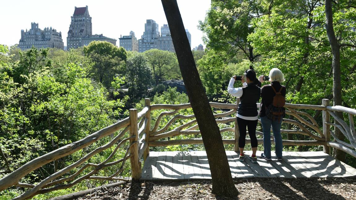 Planète (Etats-Unis/Amérique du Nord) - Le droit à une eau propre et un air pur inscrit dans la Constitution de l'Etat de New York