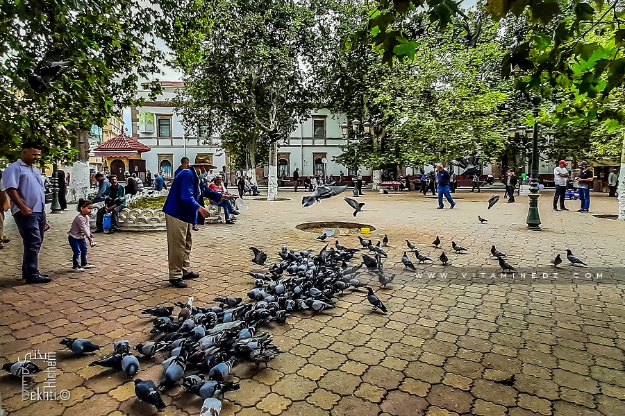 Tlemcen - La place d’Alger, qui s’en souvient