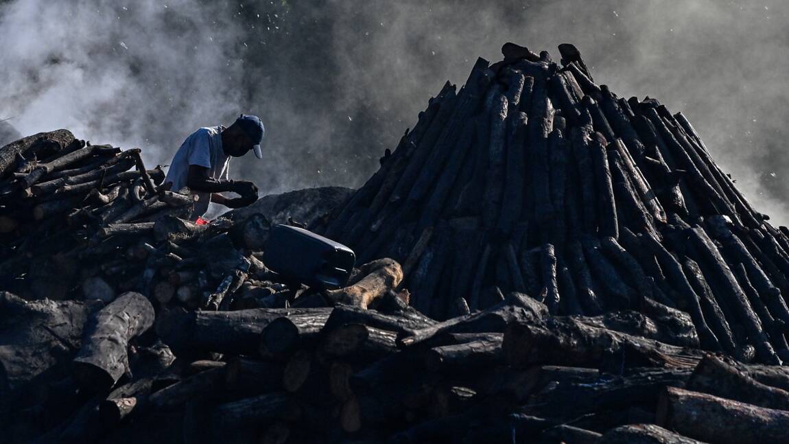 Planète (Panama/Amérique centrale) - Protéger la planète ou conserver son emploi, le dilemme des charbonniers panaméens