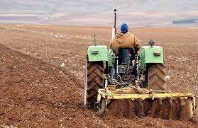 Algérie - Production de blé dur: L'autosuffisance en point de mire