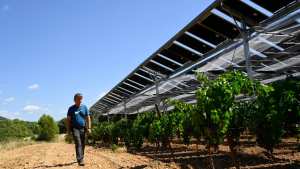 Planète (France/Europe) - Contre le réchauffement, l'agriculture française expérimente des  parasols  mobiles