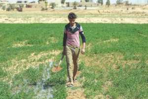 Planète (Asie) - ILS QUITTENT LEURS CHAMPS À CAUSE DE LA SÉCHERESSE: En Irak, la détresse des agriculteurs