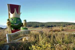 Planète (France/Europe) - Reportage — Agriculture: La lentille verte du Puy, un patrimoine en péril climatique