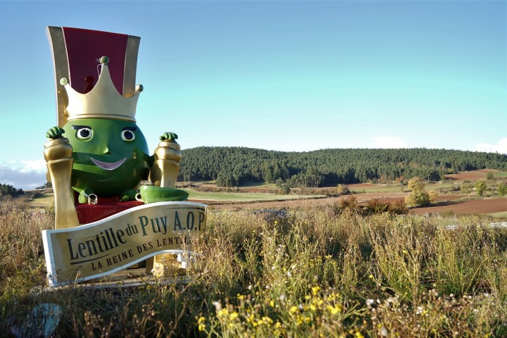 Planète (France/Europe) - Reportage — Agriculture: La lentille verte du Puy, un patrimoine en péril climatique