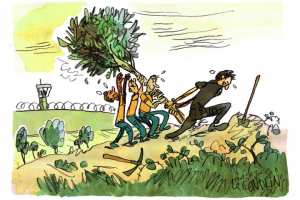 Planète (France/Europe) - Reportage — Emploi et travail: Dans cette prison, on plante des oliviers et de l’espoir pour les détenus