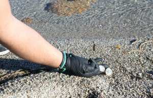 Planète (France/Europe) - Corse: Opération de dépollution des biomédias, déchets issus des stations d’épuration