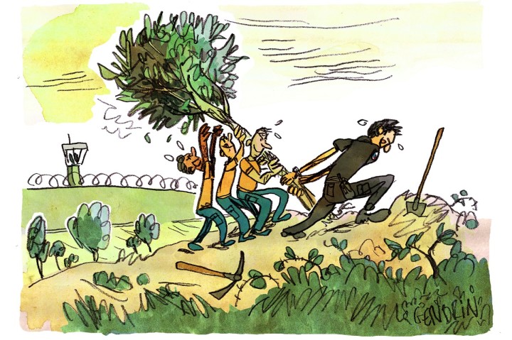 Planète (France/Europe) - Reportage — Emploi et travail: Dans cette prison, on plante des oliviers et de l’espoir pour les détenus