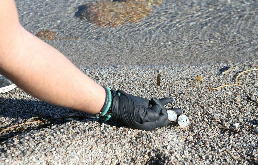 Planète (France/Europe) - Corse: Opération de dépollution des biomédias, déchets issus des stations d’épuration