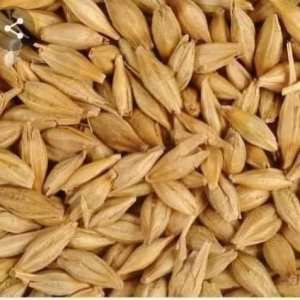 اشرب ماء الشعير