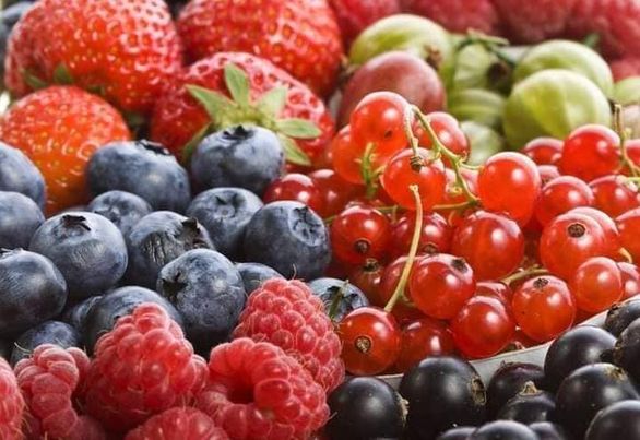 الفواكه من فصيله التوثيات......BERRIES فوائد لا تحصى لصحة الجسد والعقل