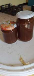 موسم_الساسنو