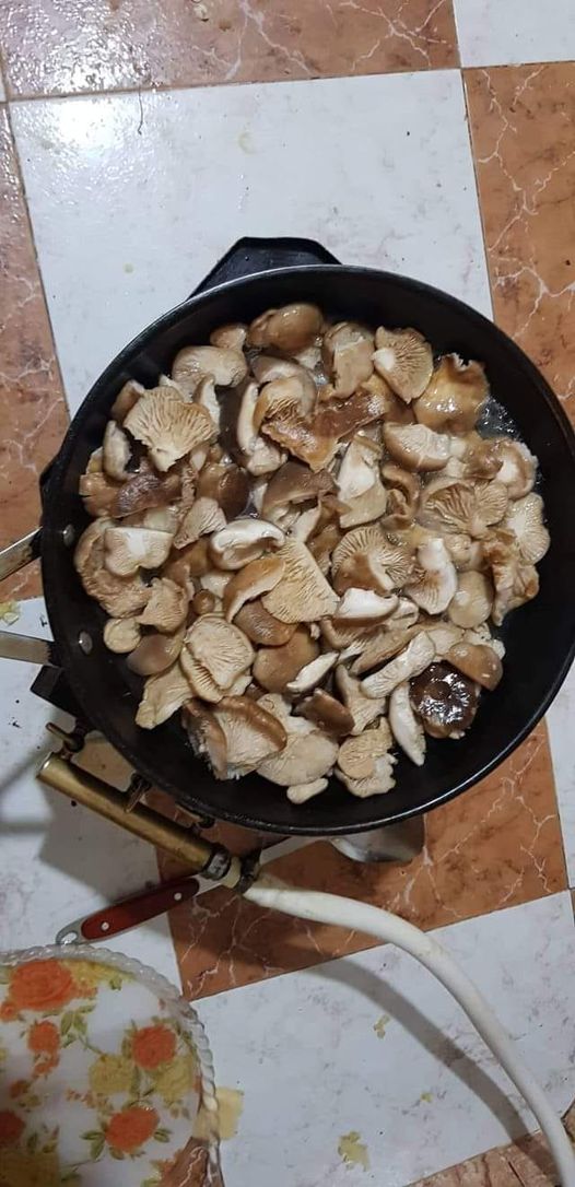 طبق فطر بري مقلي من الأطباق اللذيذة جدا .