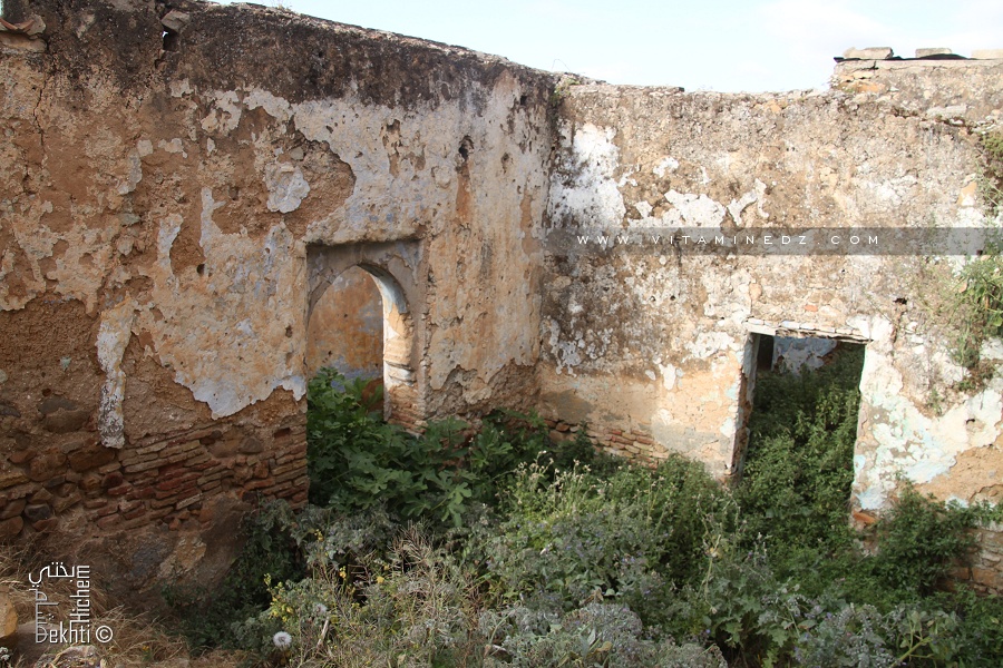 CARACTÉRISTIQUES DES MAISONS ISLAMIQUES TRADITIONNELLES CONSTRUITE PAR DES AMAZIGHES A TLEMCEN