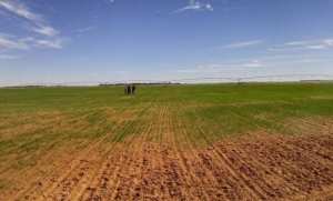 Algérie - Poursuivre l'opération d'assainissement du foncier agricole et de récupération des surfaces non exploitées