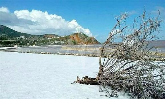 Algérie (Tipasa) - La neige recouvre les hauteurs de Sidi Semiane