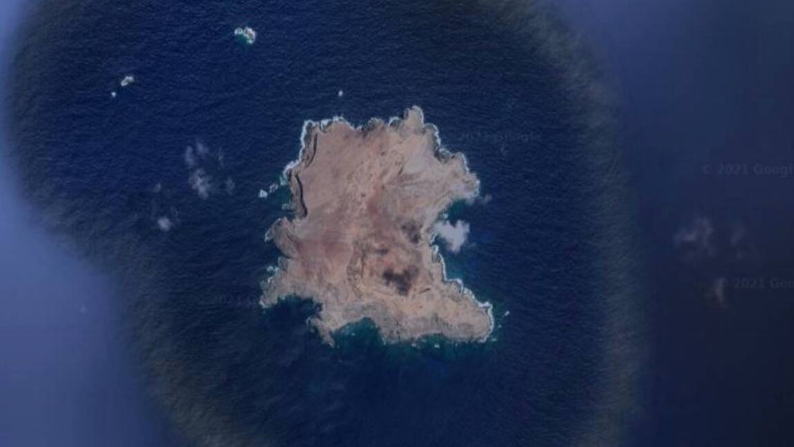 Planète (Europe) - Portugal: Madère crée la plus grande réserve marine 