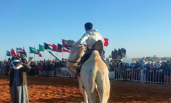 Algérie (Ghardaïa) - Près d'une dizaine d'équipes participent à une course cameline à Zelfana