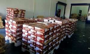 Algérie (El-Oued) - Lancement d’une opération d’exportation de 260 tonnes de dattes
