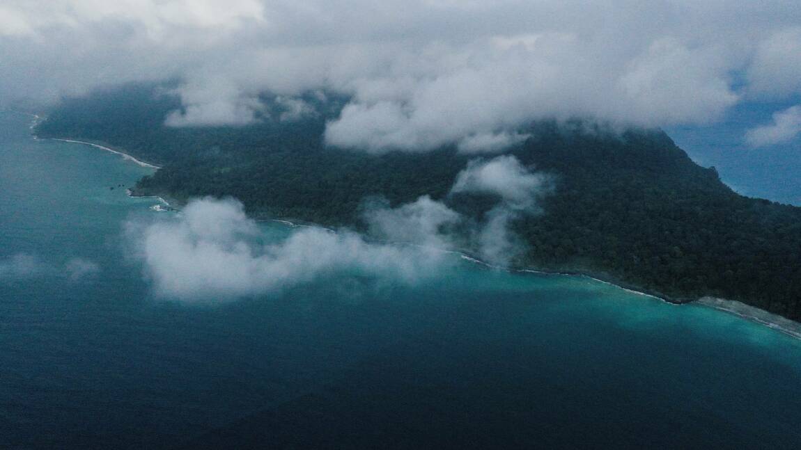 Planète (Amérique du Sud) - L'île de Gorgona en Colombie: des serpents, des bagnards et des baleines