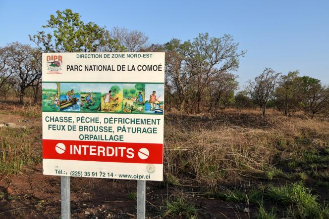 Planète (Afrique) - En Côte d’Ivoire, l’ONG African Parks lorgne le parc national de la Comoé