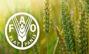 Planète - FAO: les prix mondiaux des denrées alimentaires augmentent de 28,1% en 2021