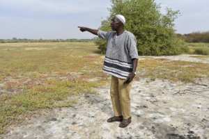 Planète (Afrique) - En Gambie, la lutte s’organise contre l’invasion du sel dans les rizicultures