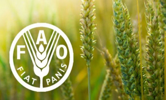 Planète - FAO: les prix mondiaux des denrées alimentaires augmentent de 28,1% en 2021