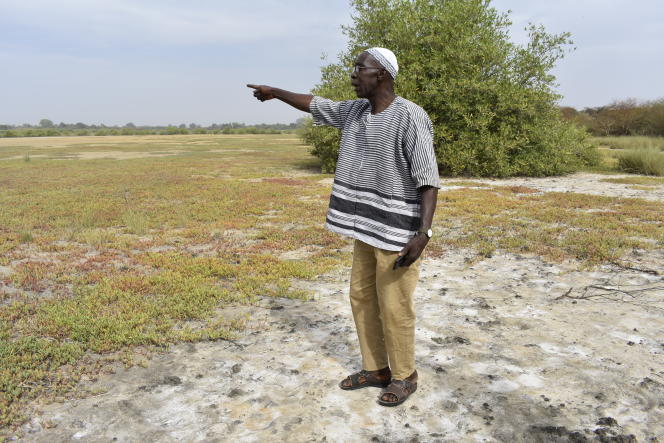 Planète (Afrique) - En Gambie, la lutte s’organise contre l’invasion du sel dans les rizicultures