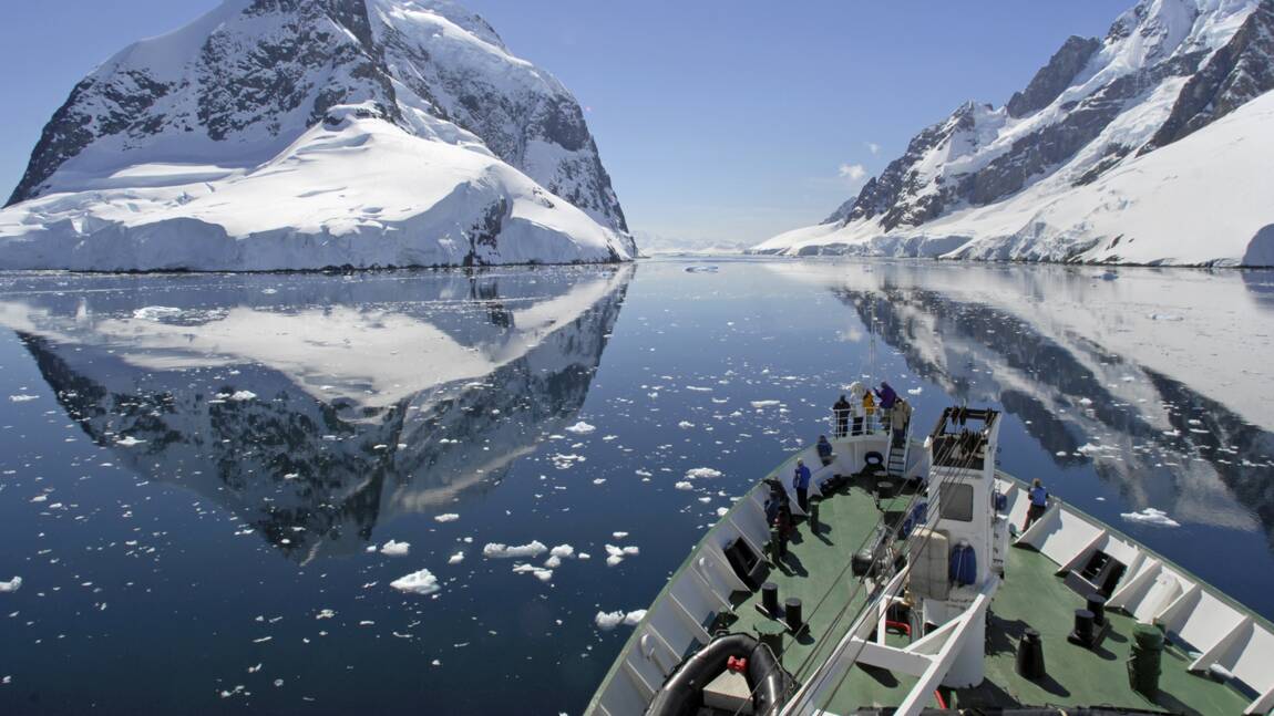 Planète - Les navires, un vecteur qui accroît le risque d'espèces invasives en Antarctique