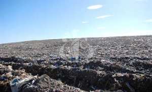 Algérie (Alger) - La gestion des déchets ménagers est  loin de répondre aux normes internationales